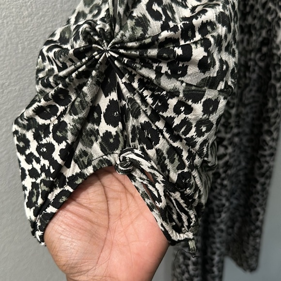 Leopard Print Dress - Picture 4 of 5